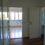 Rent 2 bedroom apartment of 50 m² in Sušice