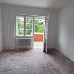 Rent 2 bedroom apartment of 41 m² in Berlin