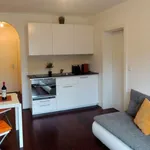 Rent 1 bedroom apartment of 28 m² in Maria Enzersdorf