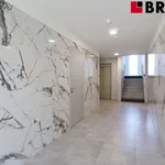 Pronajměte si 1 ložnic/e byt o rozloze 47 m² v Brno