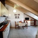 Rent 1 bedroom apartment of 30 m² in Turin