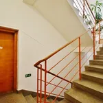 Rent 1 bedroom apartment of 40 m² in Brno