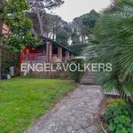 Rent 13 bedroom house of 3 m² in Marino