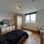 Rent 1 bedroom apartment in Leuven