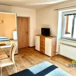 Rent 1 bedroom apartment of 25 m² in Kunovice