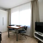 Rent 2 bedroom apartment of 32 m² in Cologne