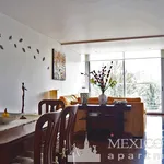 Rent 1 bedroom apartment of 55 m² in Mexico City