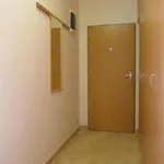 Rent 1 bedroom apartment in Brno