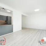 Rent 2 bedroom apartment of 66 m² in Pilsen