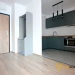 Rent 2 bedroom apartment of 38 m² in Wrocław