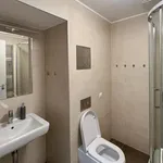 Rent 1 bedroom apartment in Prague