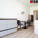 Rent 1 bedroom apartment of 27 m² in Brno