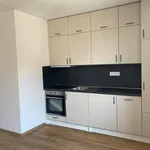 Rent 1 bedroom apartment of 32 m² in Brno