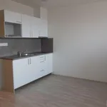 Rent 1 bedroom apartment of 30 m² in Brno