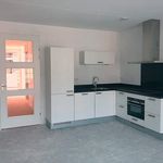 Rent 1 bedroom apartment of 75 m² in IJmuiden