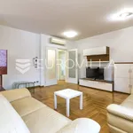 Rent 4 bedroom apartment of 155 m² in Zagreb