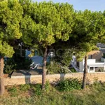 Rent 2 bedroom apartment of 60 m² in Roseto degli Abruzzi