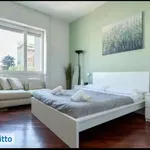 Rent 2 bedroom apartment of 60 m² in Milan