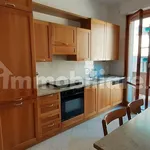 Rent 5 bedroom apartment of 100 m² in Bologna