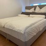 Miete 1 Schlafzimmer wohnung von 32 m² in Dresden