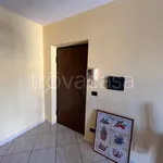 Rent 2 bedroom apartment of 45 m² in Cassino