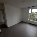 Rent 2 bedroom apartment of 64 m² in Grenoble