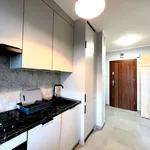 Rent 2 bedroom apartment of 36 m² in Rzeszów