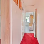 Rent 2 bedroom house of 71 m² in Arnhem