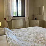 Rent 2 bedroom apartment of 50 m² in Desenzano del Garda