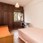 Rent a room in lisbon