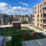 Rent 3 bedroom apartment of 67 m² in Trondheim