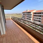 Rent 3 bedroom apartment of 80 m² in Pomezia