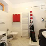 Rent 1 bedroom apartment of 43 m² in Parcines