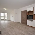 Rent 1 bedroom house in Rychnov nad Kněžnou