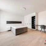 Rent 4 bedroom apartment of 129 m² in Prague