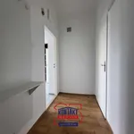 Rent 2 bedroom apartment of 42 m² in České Budějovice