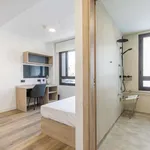 Rent 1 bedroom apartment in madrid