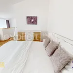 Rent 2 bedroom apartment of 100 m² in Luhačovice