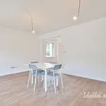 Rent 4 bedroom house in Plzeň-sever