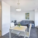 Rent 1 bedroom apartment in Montreal