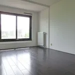 Rent 3 bedroom apartment of 85 m² in Amsterdam