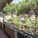 Rent a room in rome