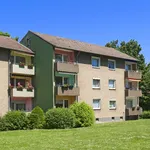 Rent 2 bedroom apartment of 51 m² in Ahlen