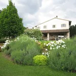 Rent 10 bedroom house of 350 m² in Firenze