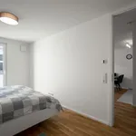 Rent 1 bedroom apartment of 53 m² in Frankfurt