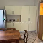 Rent 4 bedroom apartment of 100 m² in Turin