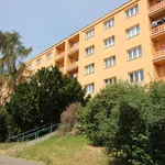 Rent 2 bedroom apartment of 56 m² in Prague