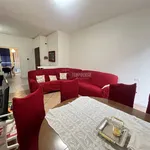 Rent 4 bedroom apartment of 100 m² in Viareggio