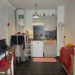 Appartement de 31 m² avec 1 chambre(s) en location à alfortville