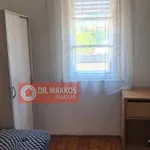 Rent 1 bedroom house of 25 m² in Szabadság utca